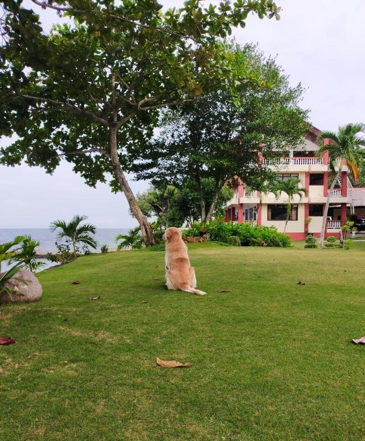 Wuthering Heights Bed & Breakfast By The Sea Dumaguete City Exterior foto